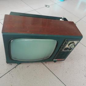 天鹅牌黑白电视机一台