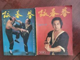 梁挺咏春拳