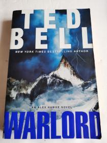 英文原版：Warlord  Ted Bell【无字迹写划】