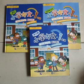 跳跳龙国际少儿英语：小学中文·1年级 课本+练习册+汉字练习册 3册合售