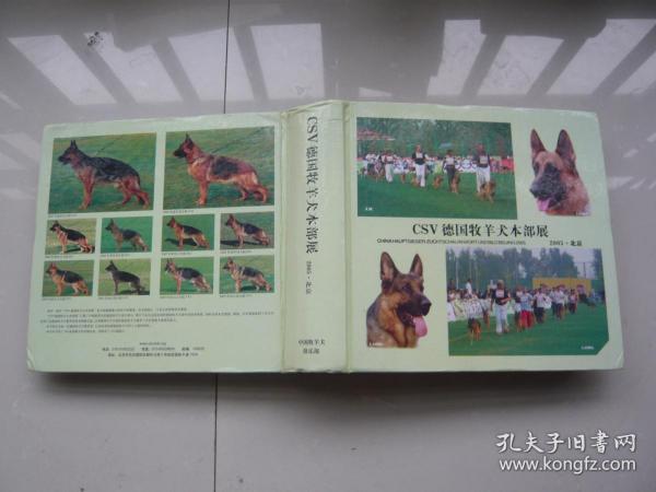 csv德国牧羊犬本部展 CSV中国牧羊犬俱乐部