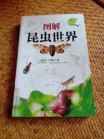 圖解昆蟲世界