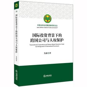 国际投资背景下的跨国公司与人权保护