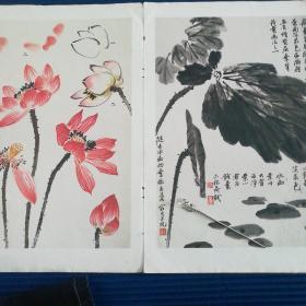 荷花(中国花鸟画临本丛书)