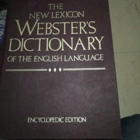 新词汇韦伯斯特词典
