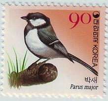 韩国 鸟 2006年 大山雀 Parus major