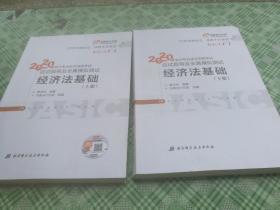 2020应试指导及全真模拟测试经济基础上下2册              **01