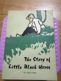 小黑马的故事,英文版