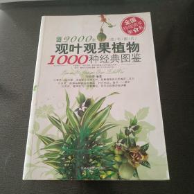 观叶观果植物1000种经典图鉴