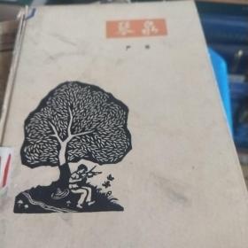 琴泉