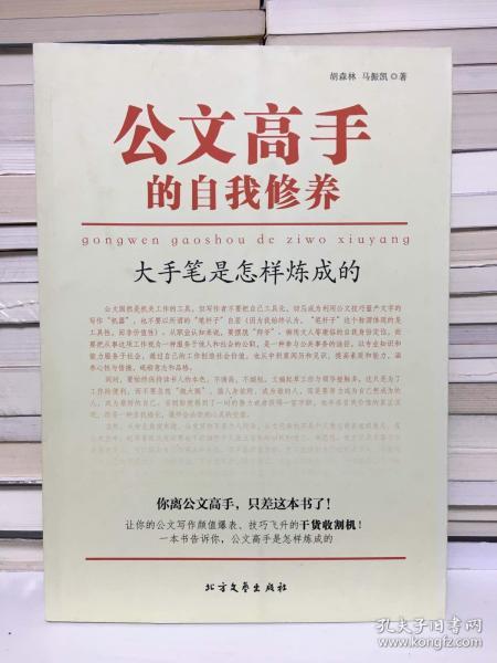 公文高手的自我修养：大手笔是怎样炼成的