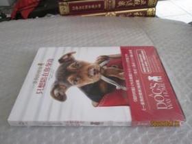 一条狗的使命-只想陪在你身边。