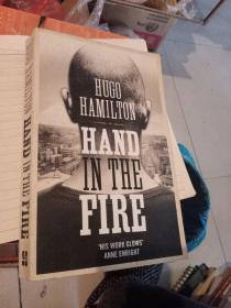 hugo hamilton hand in the fire
