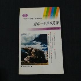 送你一个青春偶像（小32开）