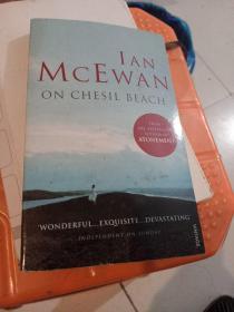 ian mcewan on chesll beach