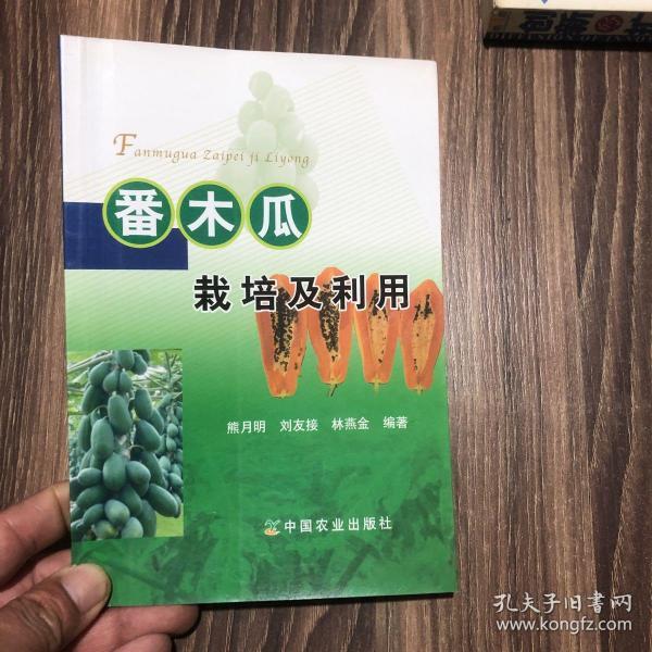 番木瓜栽培及利用