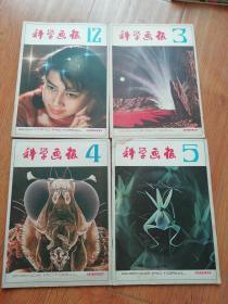 科学画报1981年12,1982年3,4,5共4册