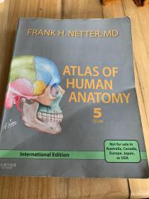 阿特拉斯的人类解剖学5