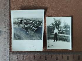 老照片：个人在户外景点的留影---1963年 于西陵公园   1957年 于长江大桥留影       黑白照片     共2张合售      文件盒八0011