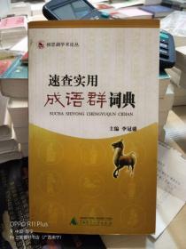 速查實(shí)用成語群詞典