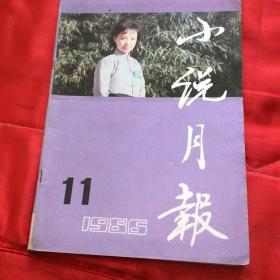 小说月报1986年11期