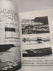 图说综合养鱼新技术