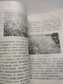 图说综合养鱼新技术