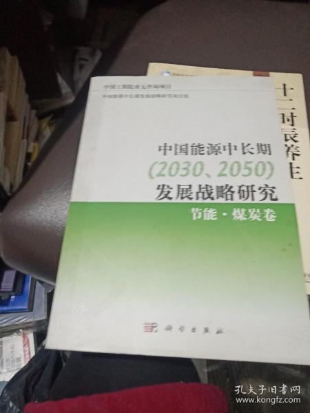 中国能源中长期（2030、2050）发展战略研究：节能·煤炭卷