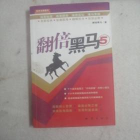 翻倍黑马5