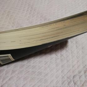 塔碑的故事：追踪神明印迹和帝国荣光