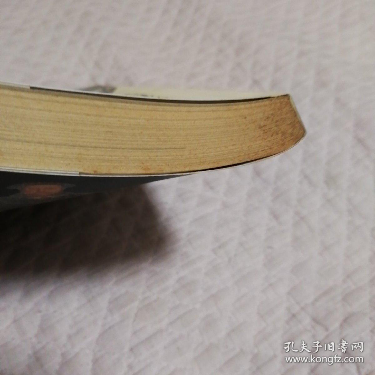 塔碑的故事：追踪神明印迹和帝国荣光