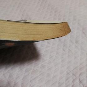 塔碑的故事：追踪神明印迹和帝国荣光