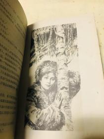 北国草 精装 北京长篇小说创作丛书