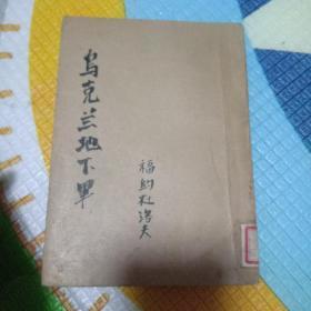 乌克兰地下軍