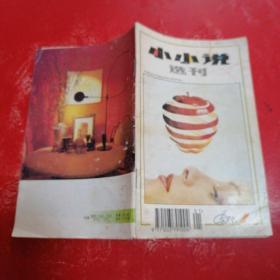 小小说选刊。1995。1