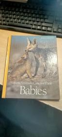 How Animals Care for Their Babies