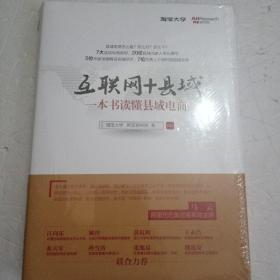互联网+县域：一本书读懂县域电商