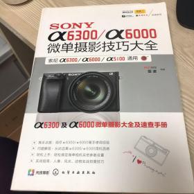 SONY α6300/α6000微单摄影技巧大全