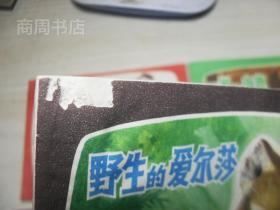 动物故事 连环画 10册全带函套