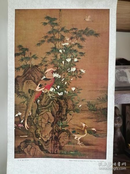 名家画鸟画大张画页，任选，标价为一张。王渊，明陈洪绶，华喦山雀爱梅、明代吕纪，沈恢花鸟图、张大千墨荷图、李方鹰苍松怪石、沈铨松鹤图、吴昌硕铁网珊瑚，一斛玉珠三斗酒，刘海粟红梅，王雪涛万紫千红，林暖苏菊花；李敬仕红叶山雀；陈半丁岁寒有同心，恭贺新禧，梅花牡丹图。