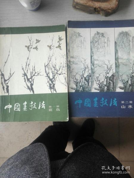 中国画技法，第一册花乌第二册山水。