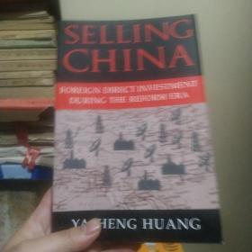 Selling China：Foreign Direct Investment during the Reform Era