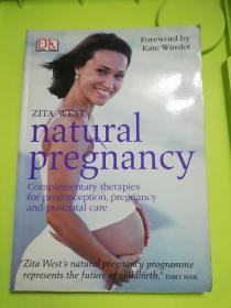 Natural Pregnancy : Complementary Therapies for Preconception