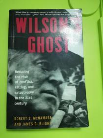 Wilson's Ghost: Reducing The Risk Of Conflict, Killing, And Catastrophe In The 21st Century