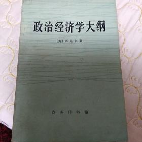 政治经济学大纲