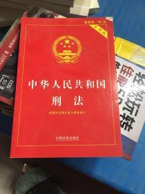 中华人民共和国刑法实用版（根据刑法修正案九全新修订 含相关立法解释）