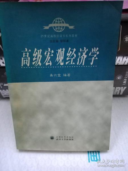 高级宏观经济学/21世纪高级经济学系列教材