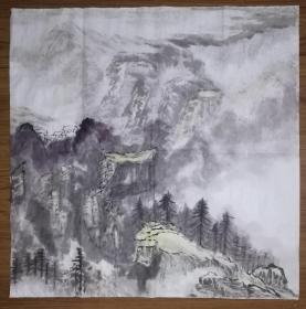 手绘真迹国画：无款20200419-09四尺斗方