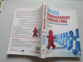 Management Consulting:Delivering an Effective Project