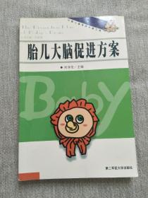 中国儿童素质早教工程·胎儿大脑促进方案